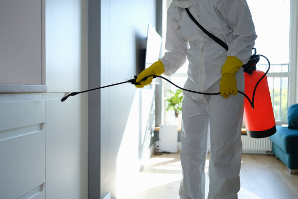 Best Residential Mold Remediation in Ferris, TX