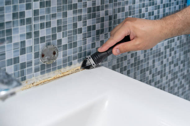 Best Black Mold Remediation in Ferris, TX